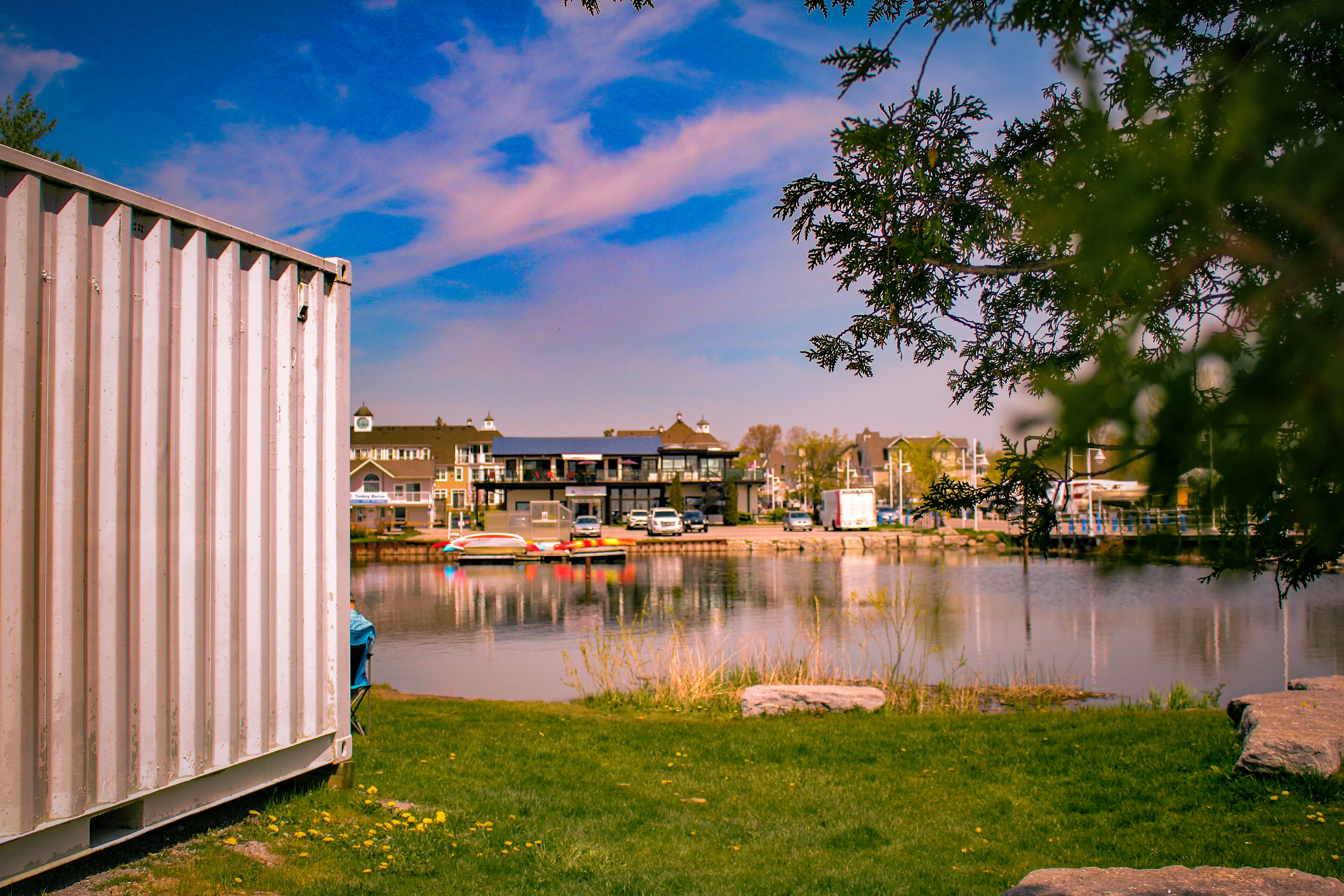 Un cuerpo de agua rodeado por un exuberante campo verde