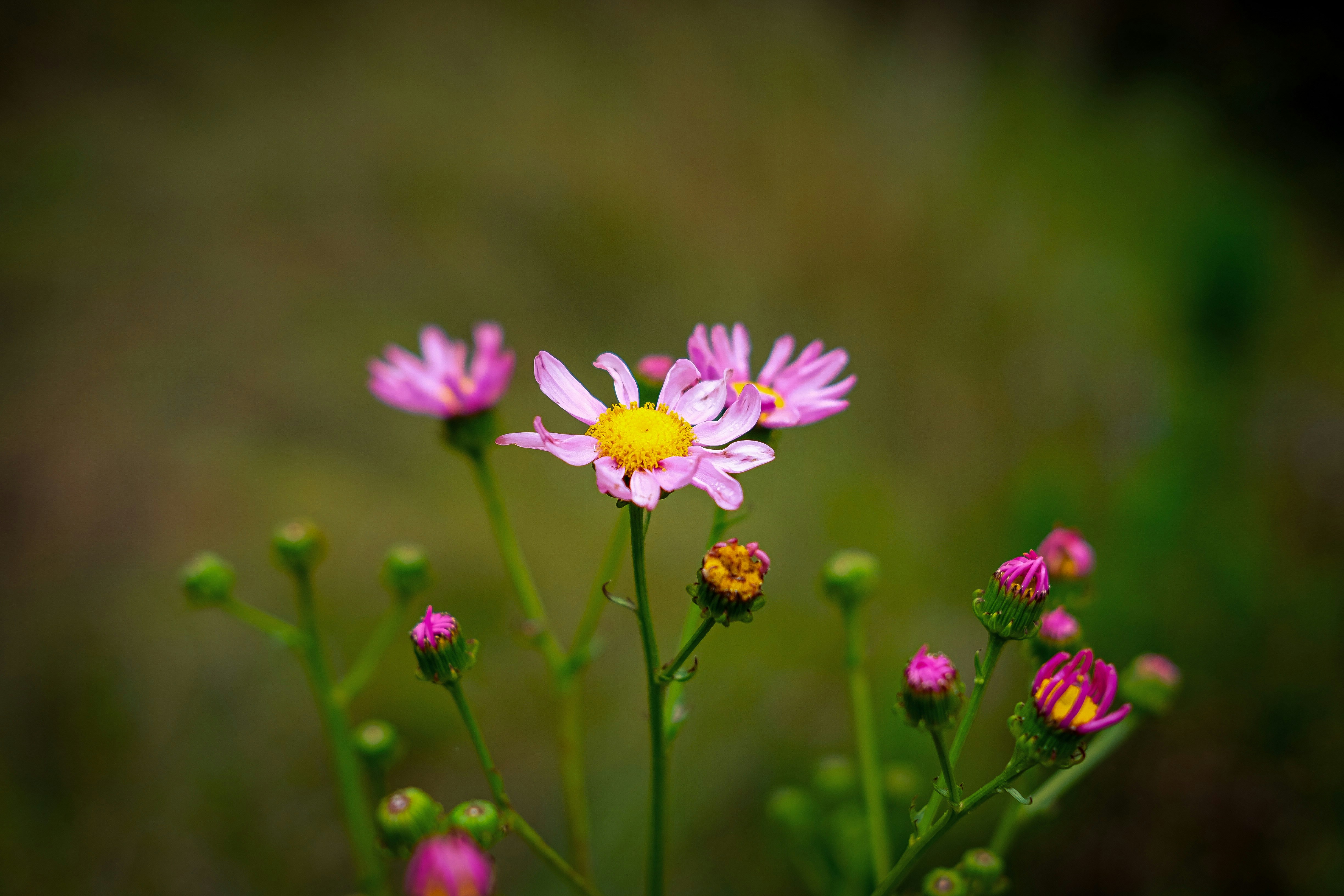 Photo by niccorbin13