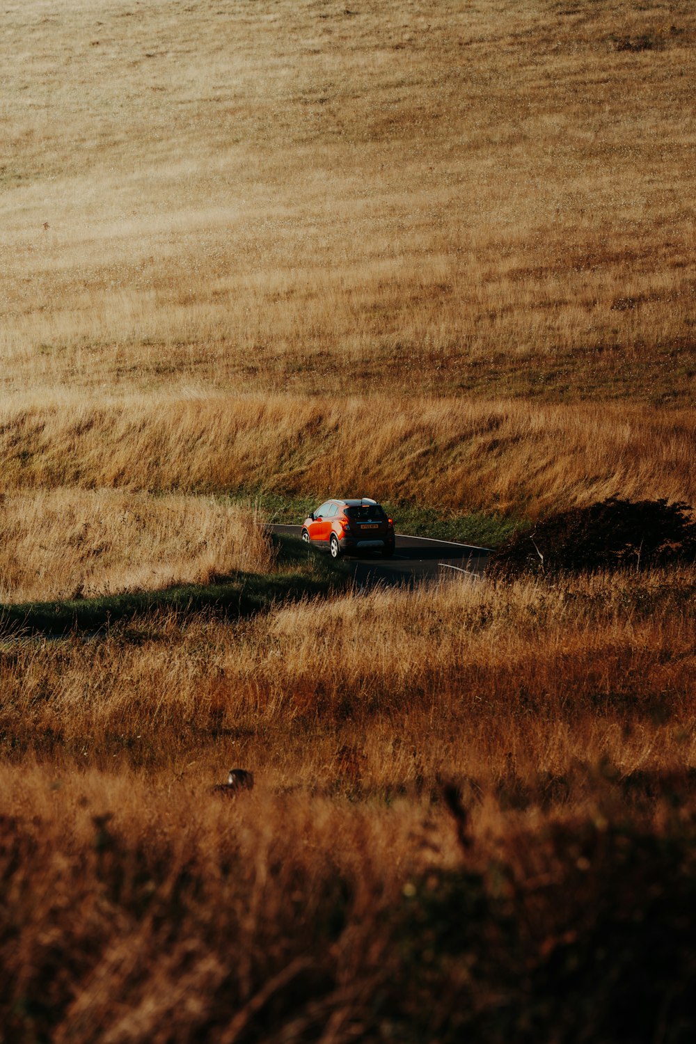 a truck driving through a field of tall grass