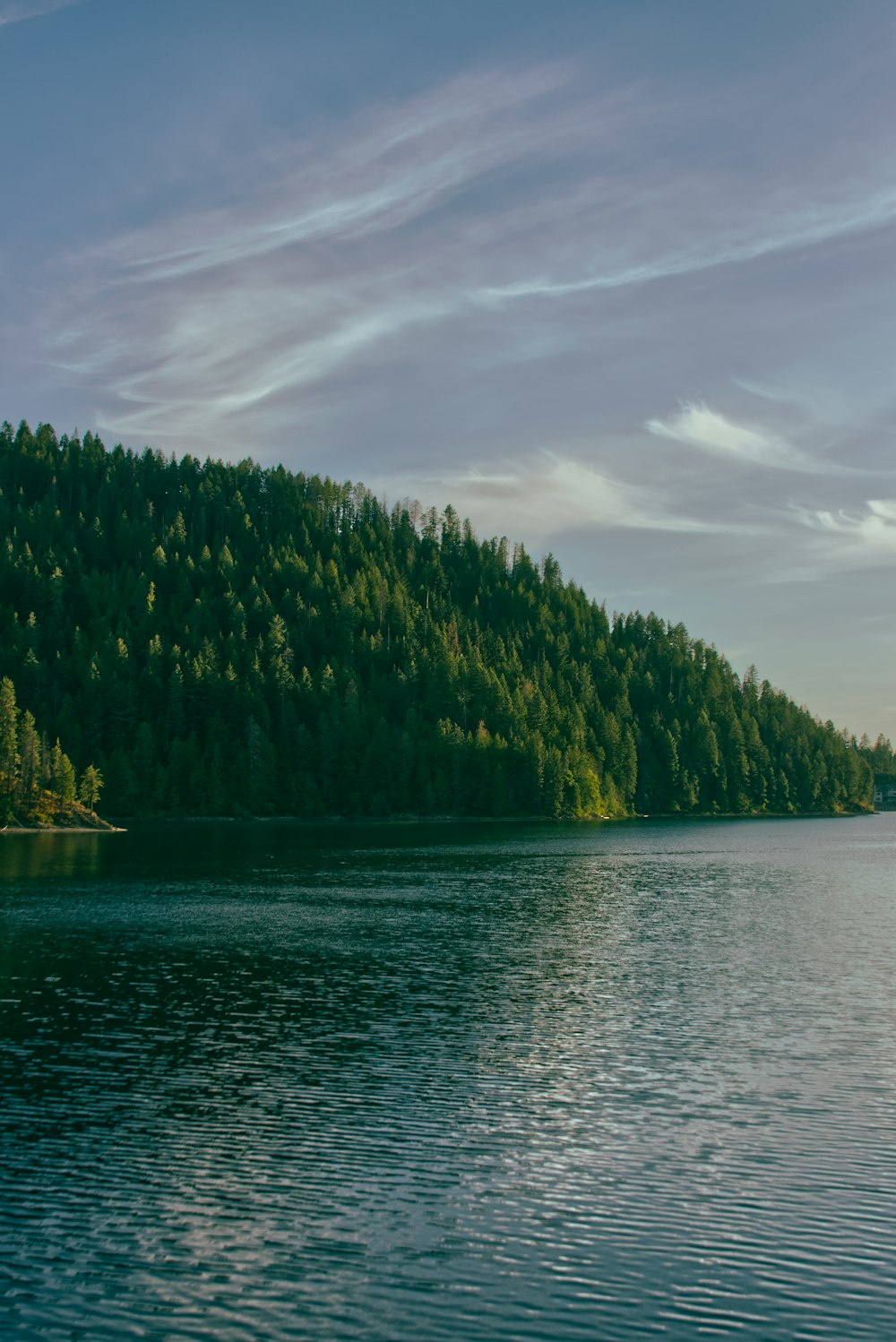 a large body of water surrounded by a forest