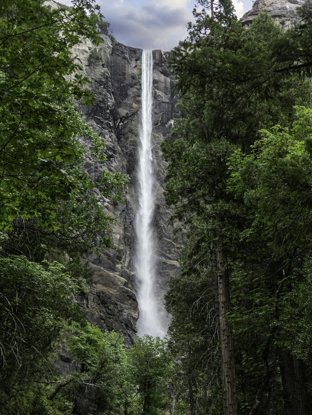 a tall waterfall towering over a lush green forest