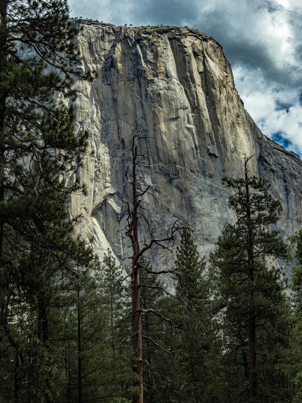 a tall mountain with a forest below it