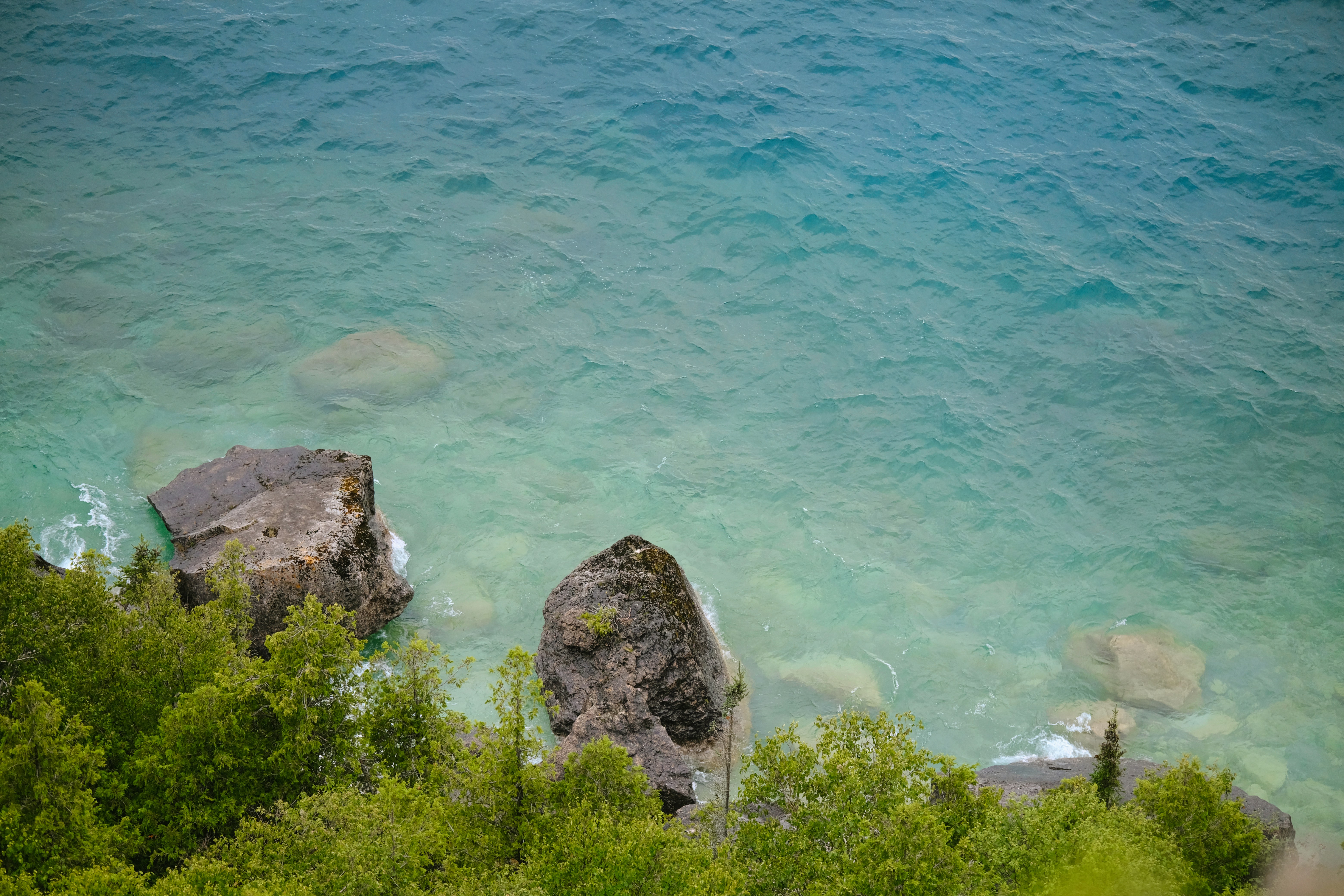 Photo by surjasendas