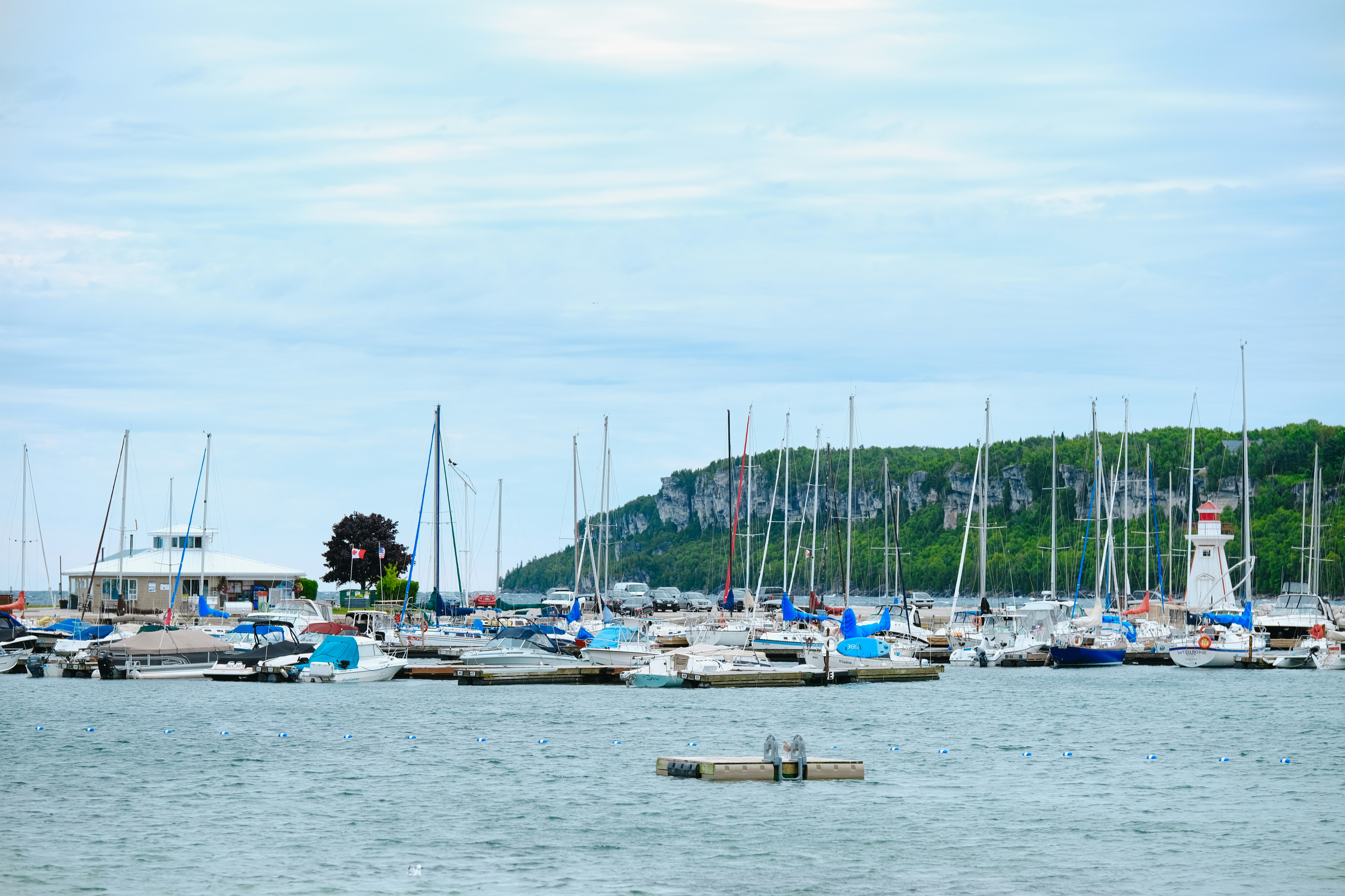 Photo by surjasendas