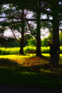 A serene forest scene with a rescued wild animal being gently cared for by a compassionate volunteer.