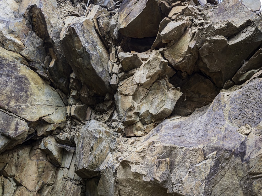 a large rock formation with a bird perched on top of it