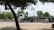 A flatbed truck with a long trailer is parked on a road beside some greenery, while a man rides a motorcycle alongside. Trees and electrical wires in the background add to the rural setting.