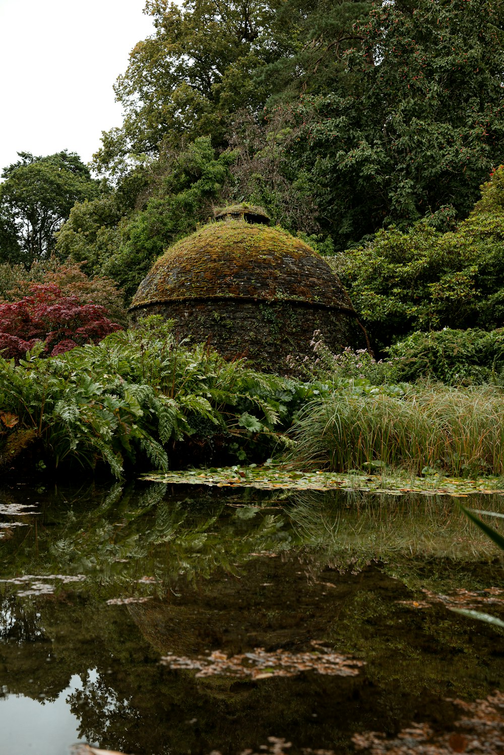 a pond surrounded by lush green trees and bushes