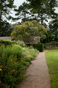 Spacious backyard garden featuring a natural stone path and vibrant flower beds.