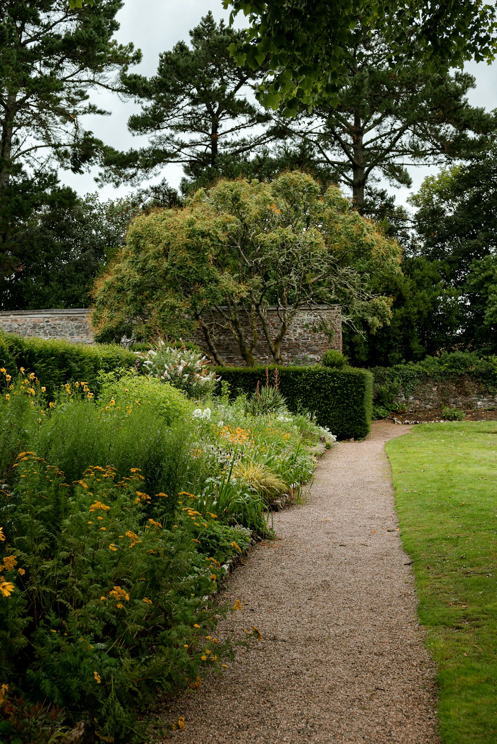 a path through a garden with lots of flowers