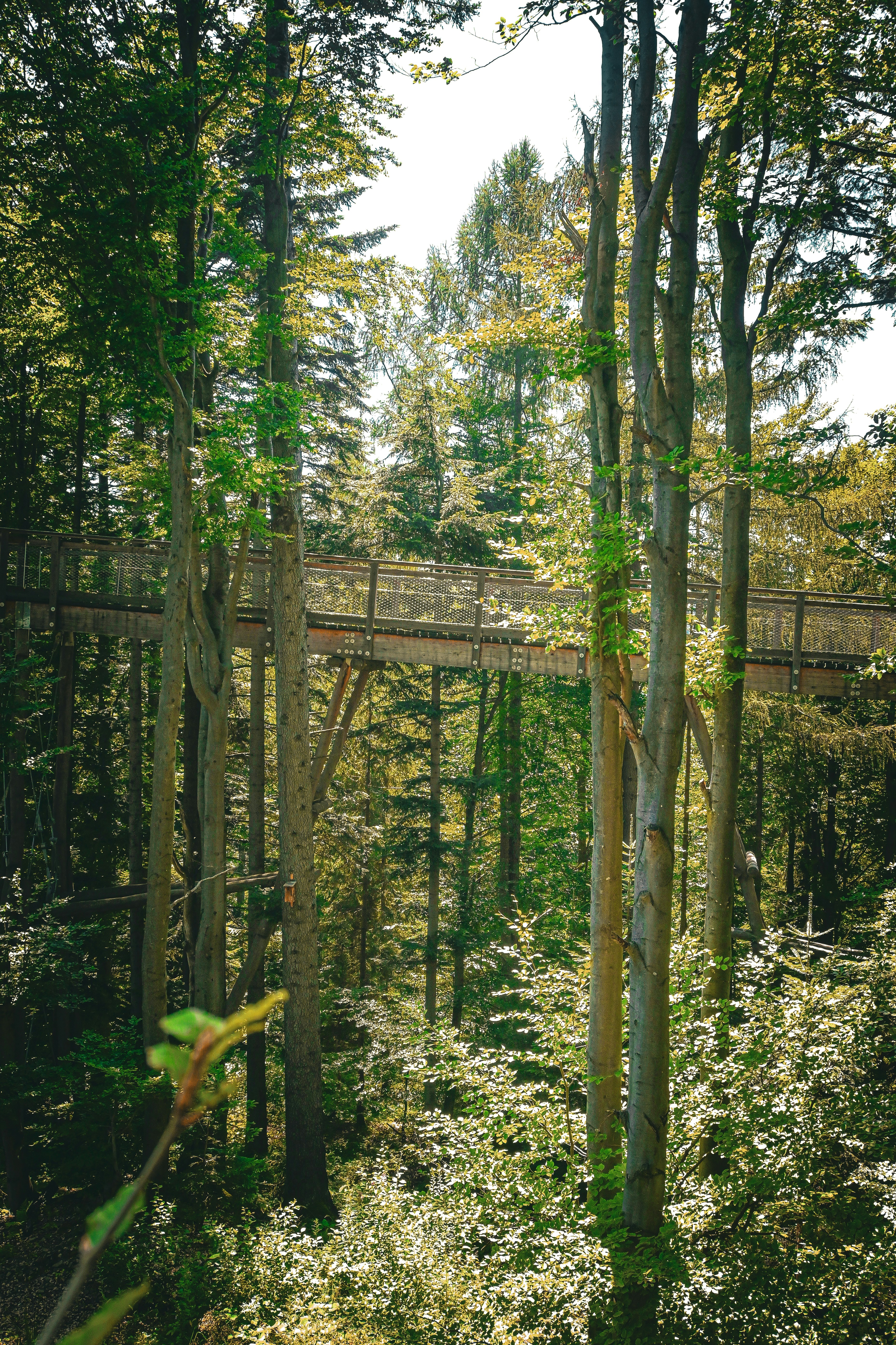 Photo by sylwiabartyzel