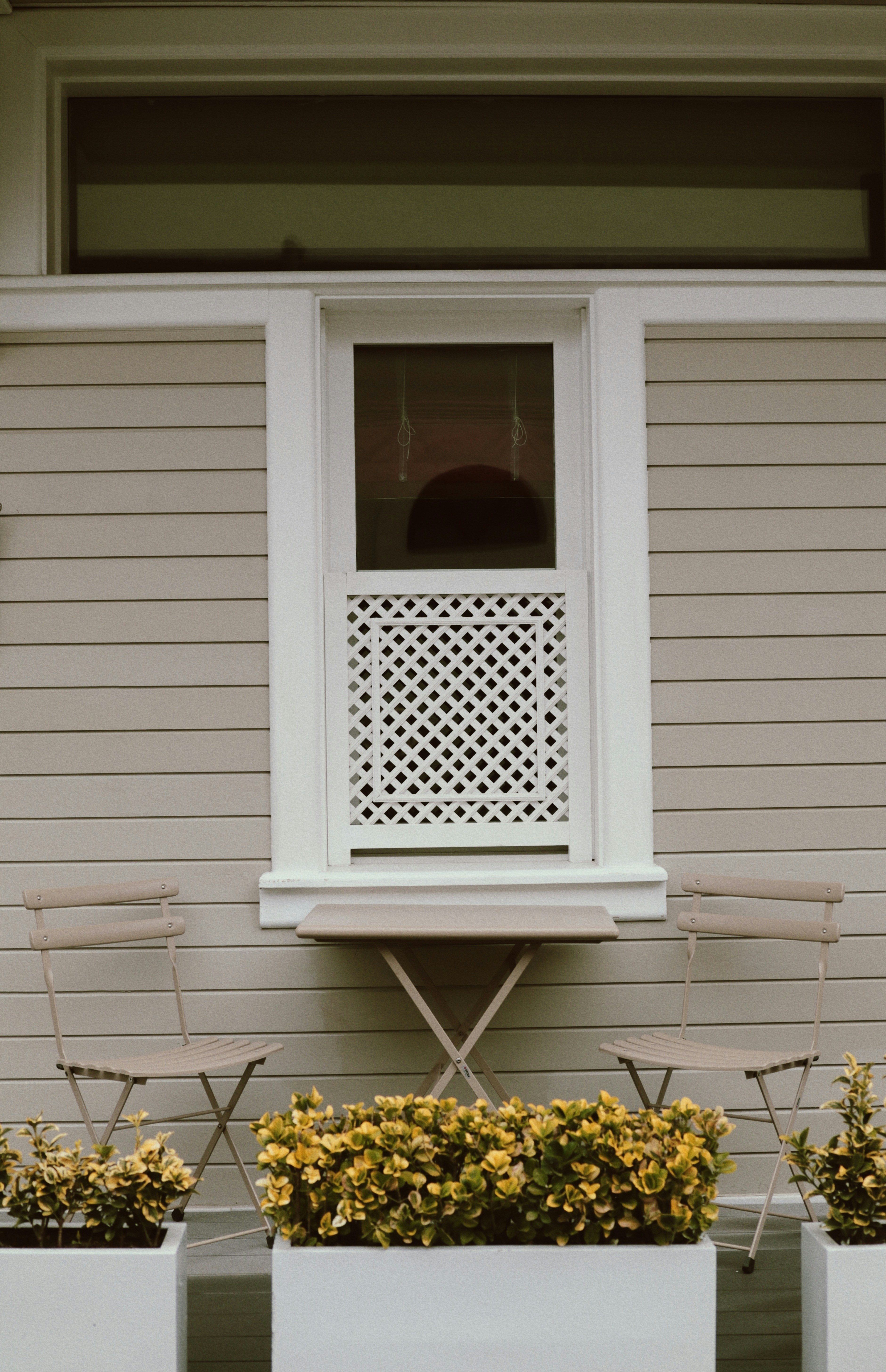 Photo by gokceakyildiz