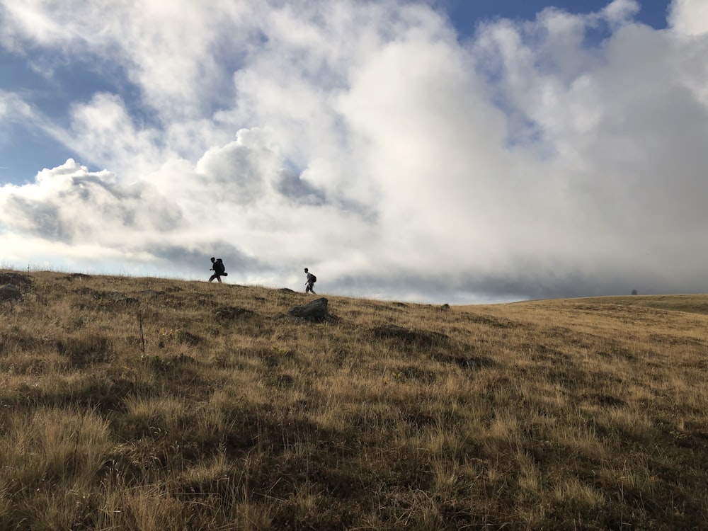 a couple of people that are standing on a hill