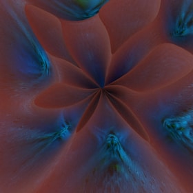An abstract digital artwork with a symmetrical pattern featuring petal-like shapes converging at the center. The design blends smooth, flowing lines in an organic arrangement with a mix of warm and cool tones.