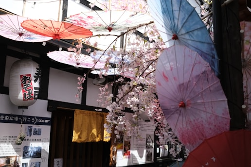 A vibrant classroom scene with attentive students learning Japanese language immersed in a setting decorated with sakura and Japanese motifs.