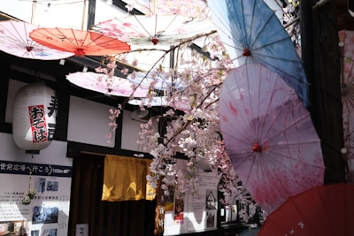 The image features a decorative setup with cherry blossom branches and colorful traditional paper umbrellas hanging from the ceiling. A Japanese lantern with text and some posters are visible on the wall in the background, along with a rustic wooden door partially covered by a yellow curtain.