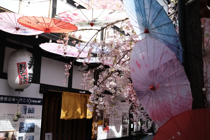 Découvrez l&rsquo;art de vivre zen japonais