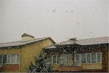 A residential building with a snow-covered roof. Snowflakes are falling against a gray winter sky. The facade is painted yellow and brown, and a tree is partly visible in front of the building.