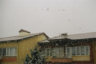 A residential building with a snow-covered roof. Snowflakes are falling against a gray winter sky. The facade is painted yellow and brown, and a tree is partly visible in front of the building.
