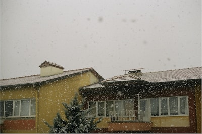 A residential building with a snow-covered roof. Snowflakes are falling against a gray winter sky. The facade is painted yellow and brown, and a tree is partly visible in front of the building.