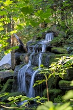 a small waterfall in the middle of a forest