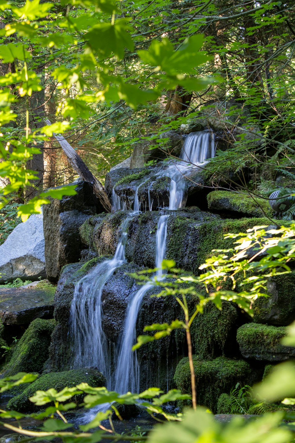 a small waterfall in the middle of a forest