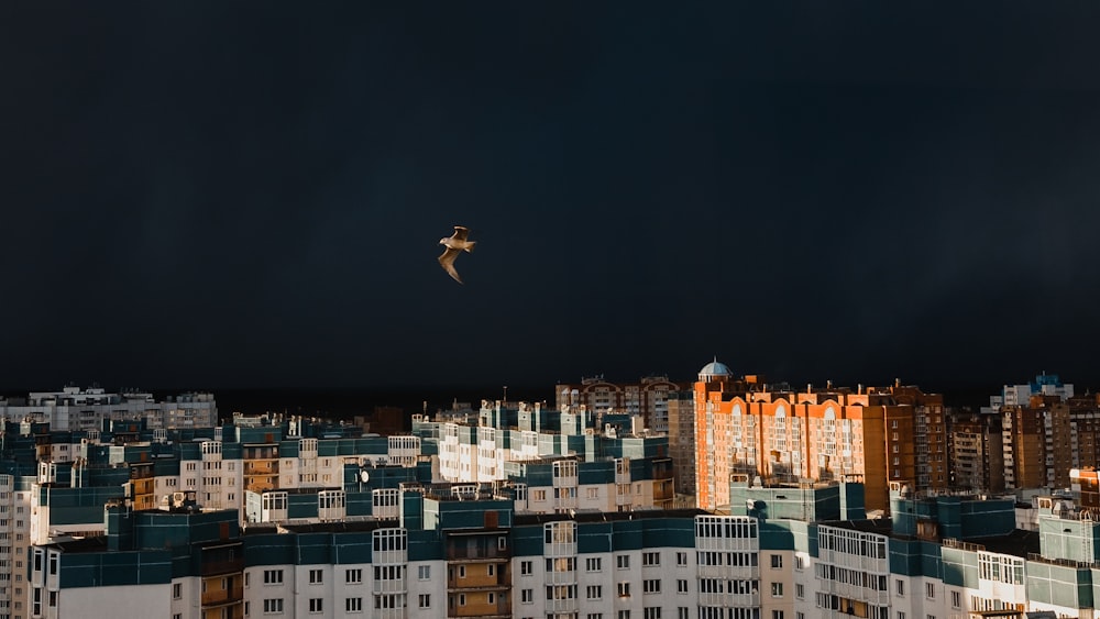 a bird flying over a city under a dark sky