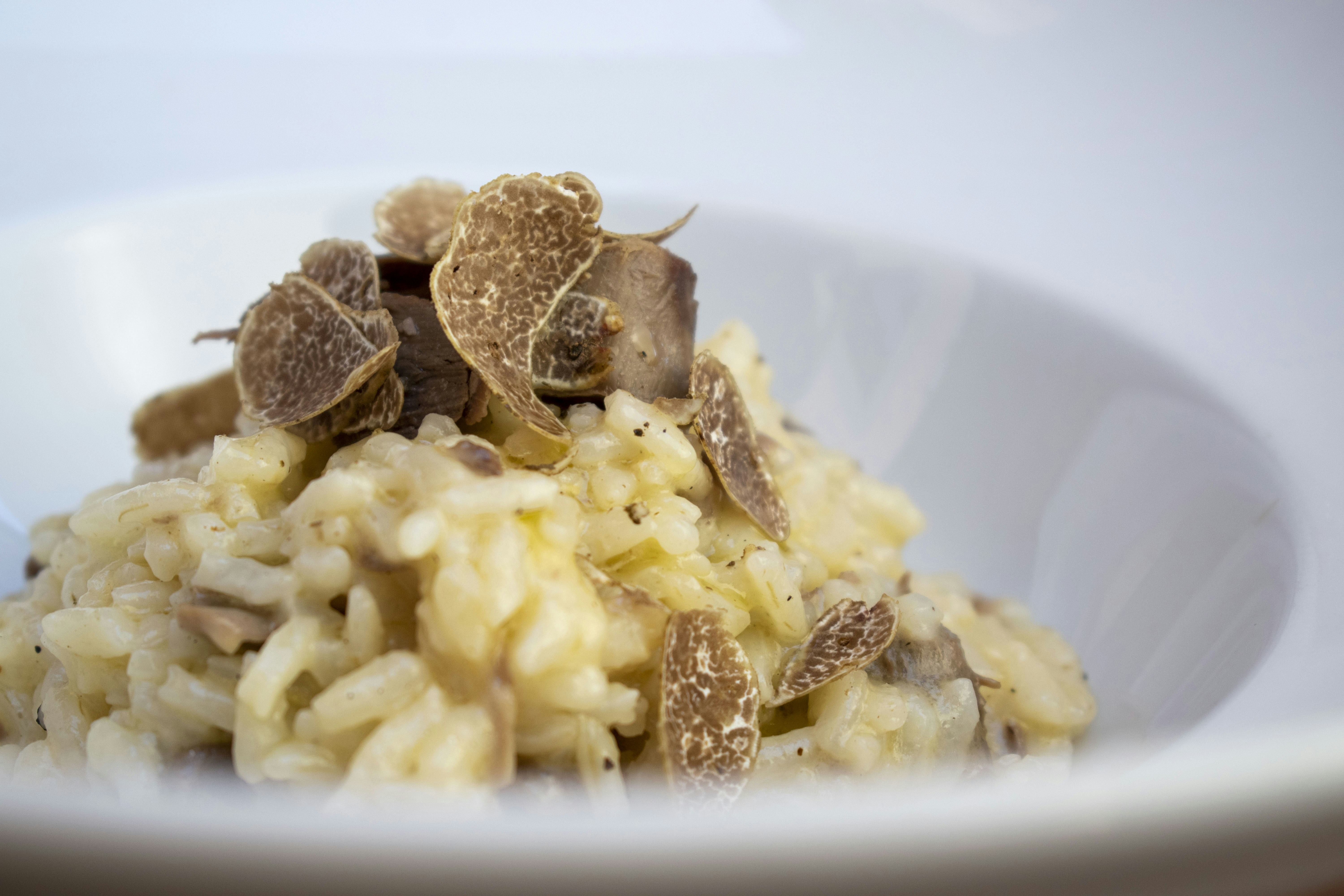 Creamy truffle risotto in white bowl with shaved truffle and parmesan