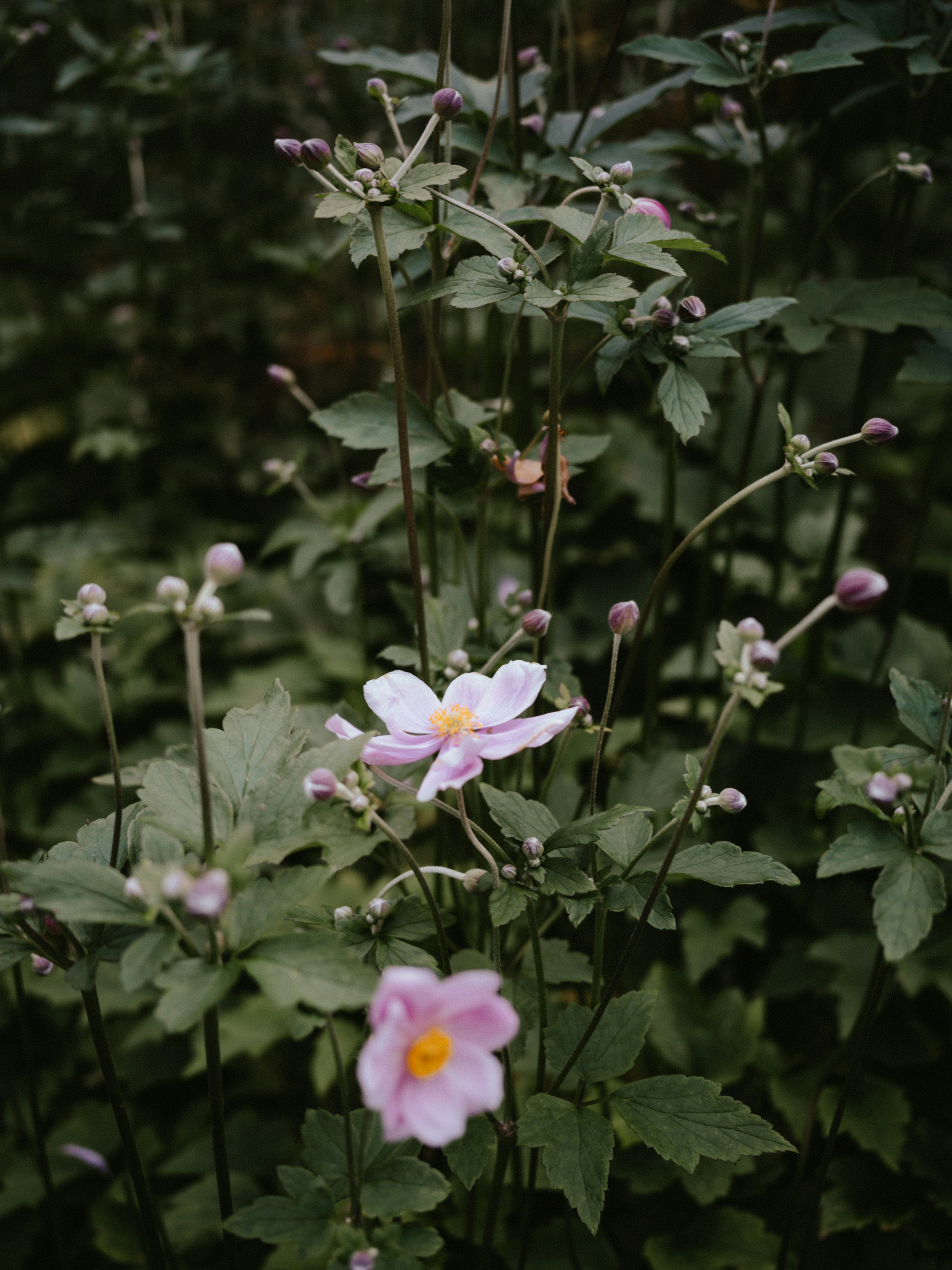 Photo by anniespratt