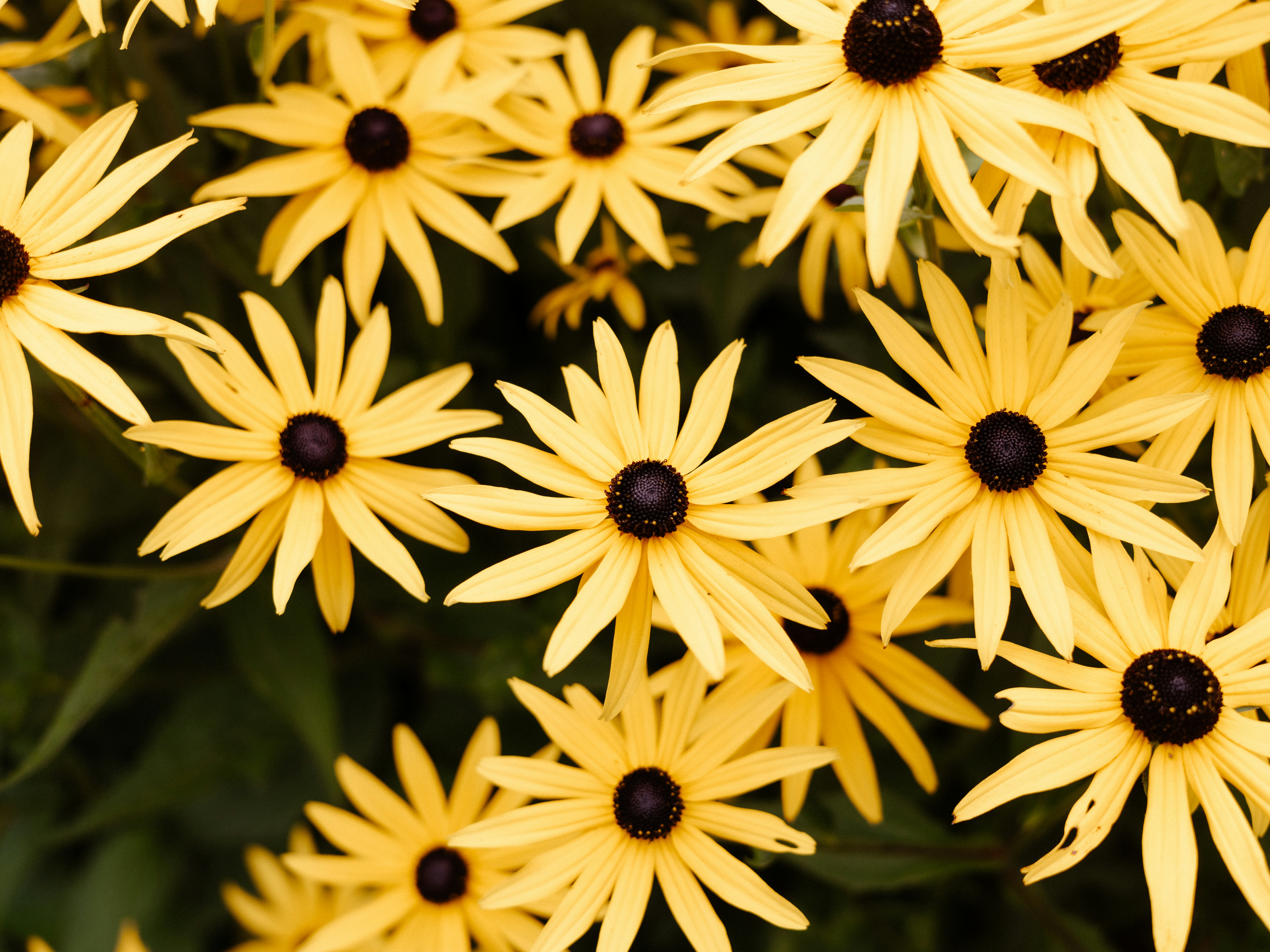 Photo by anniespratt