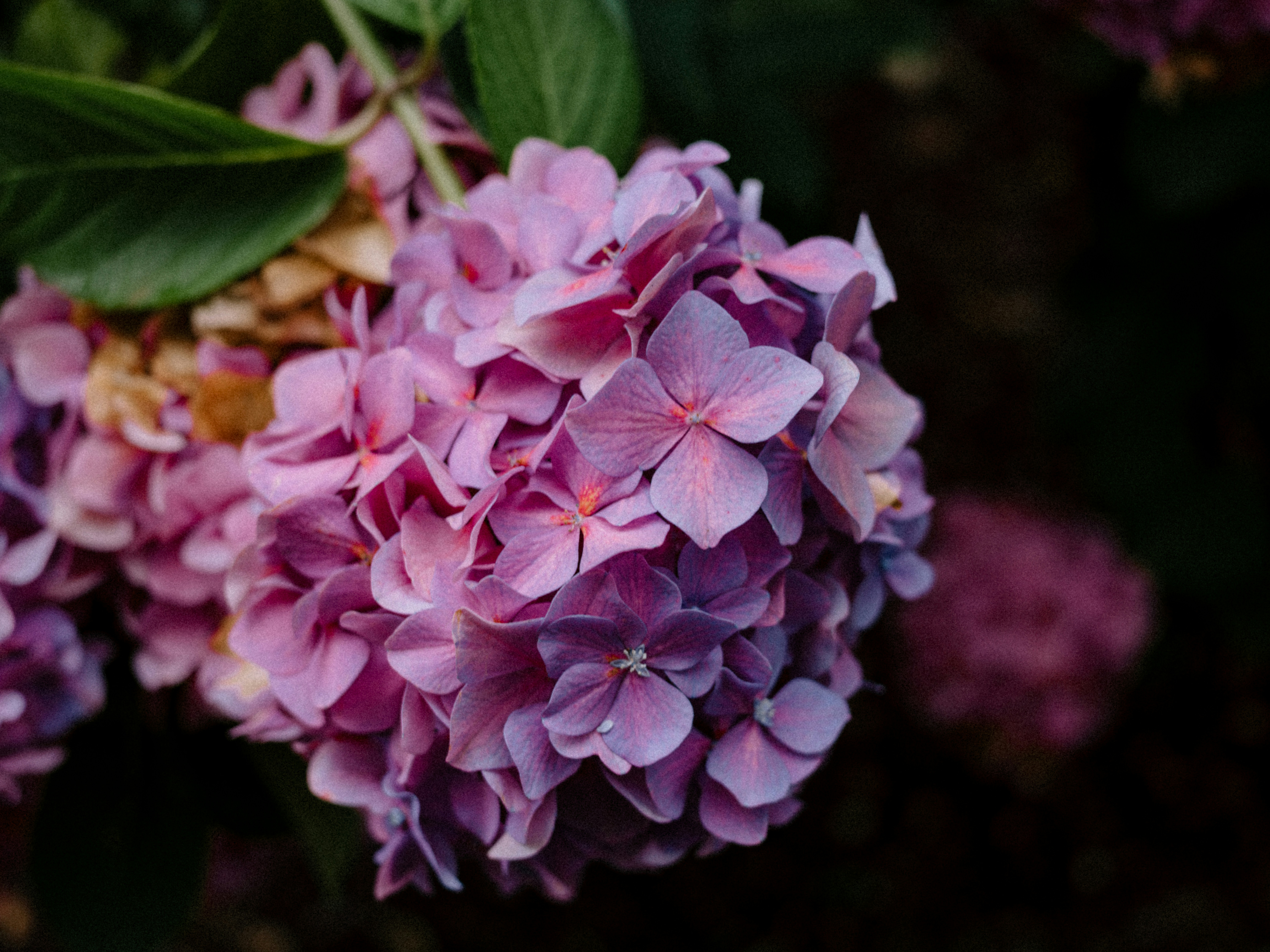 Photo by anniespratt