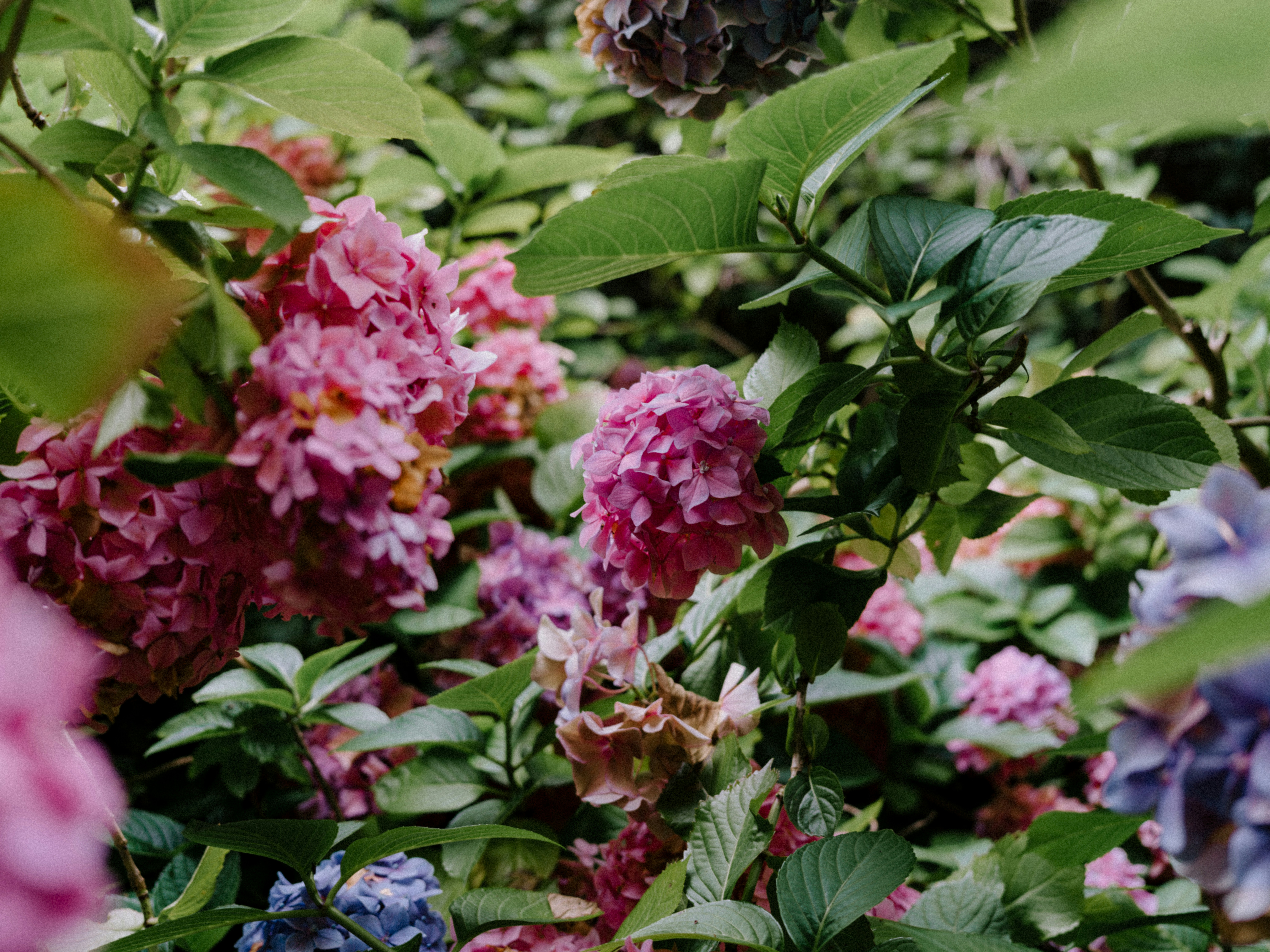 Photo by anniespratt