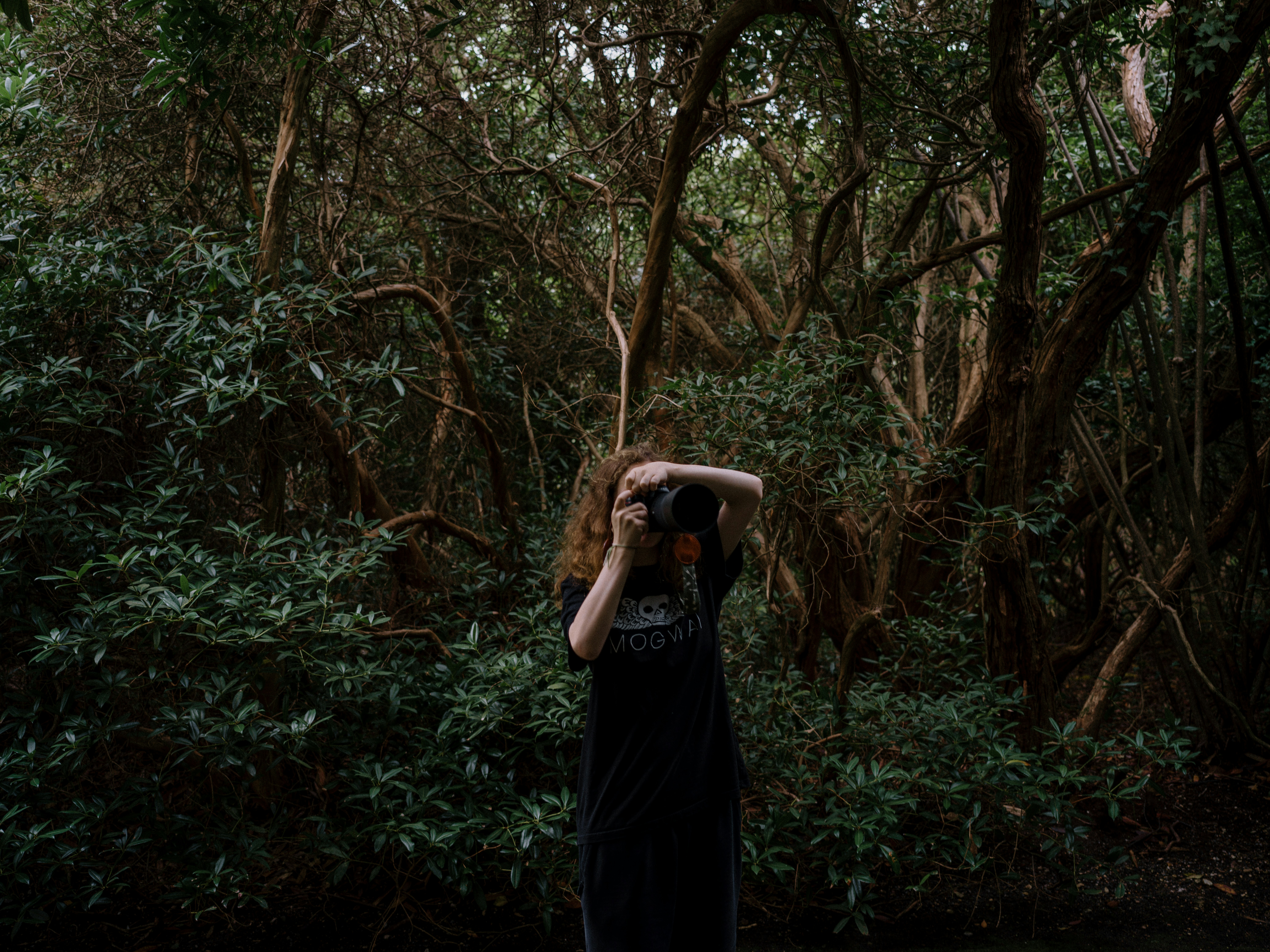 Photo by anniespratt