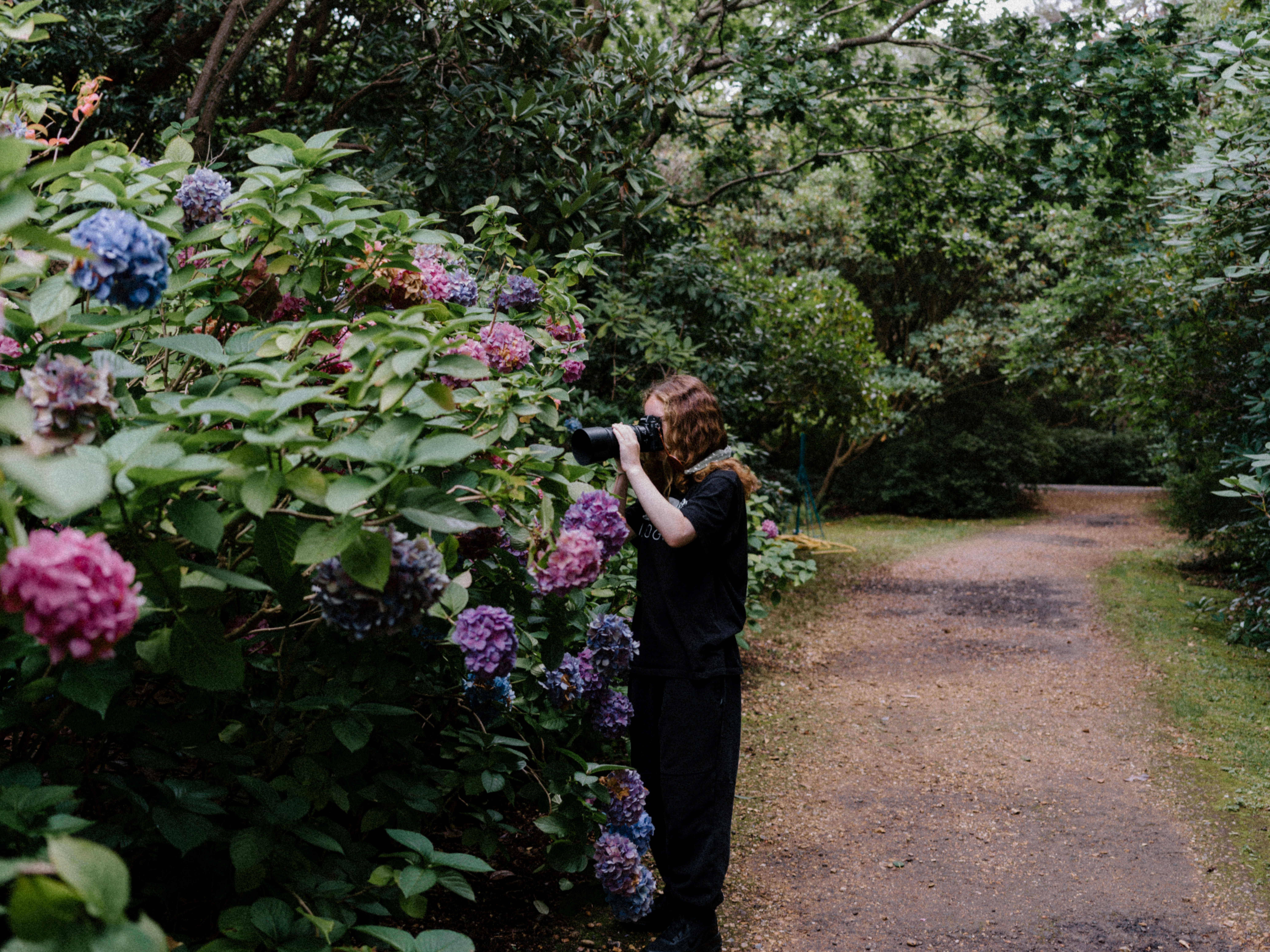 a woman taking a picture of a flower garden