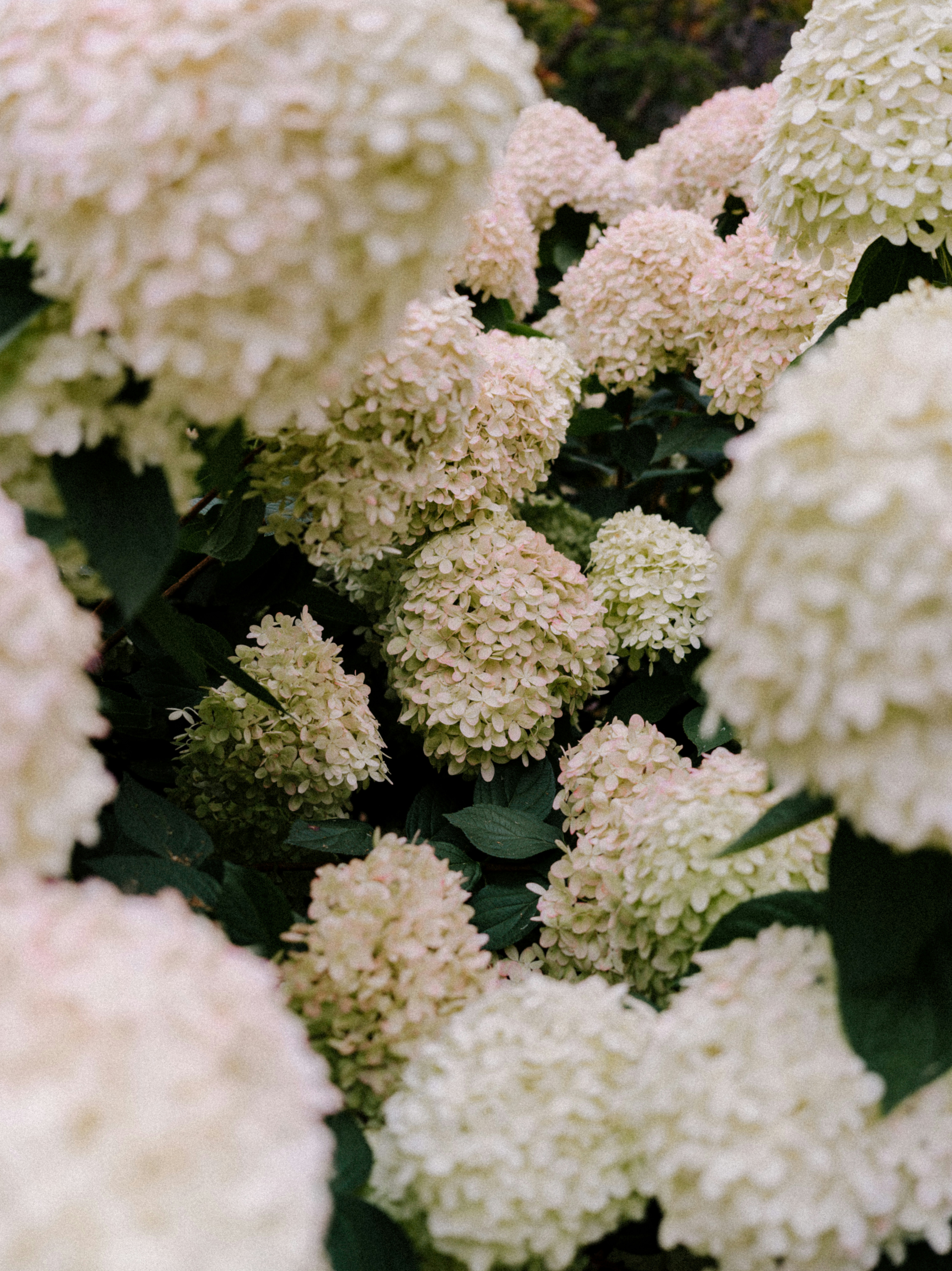 Photo by anniespratt