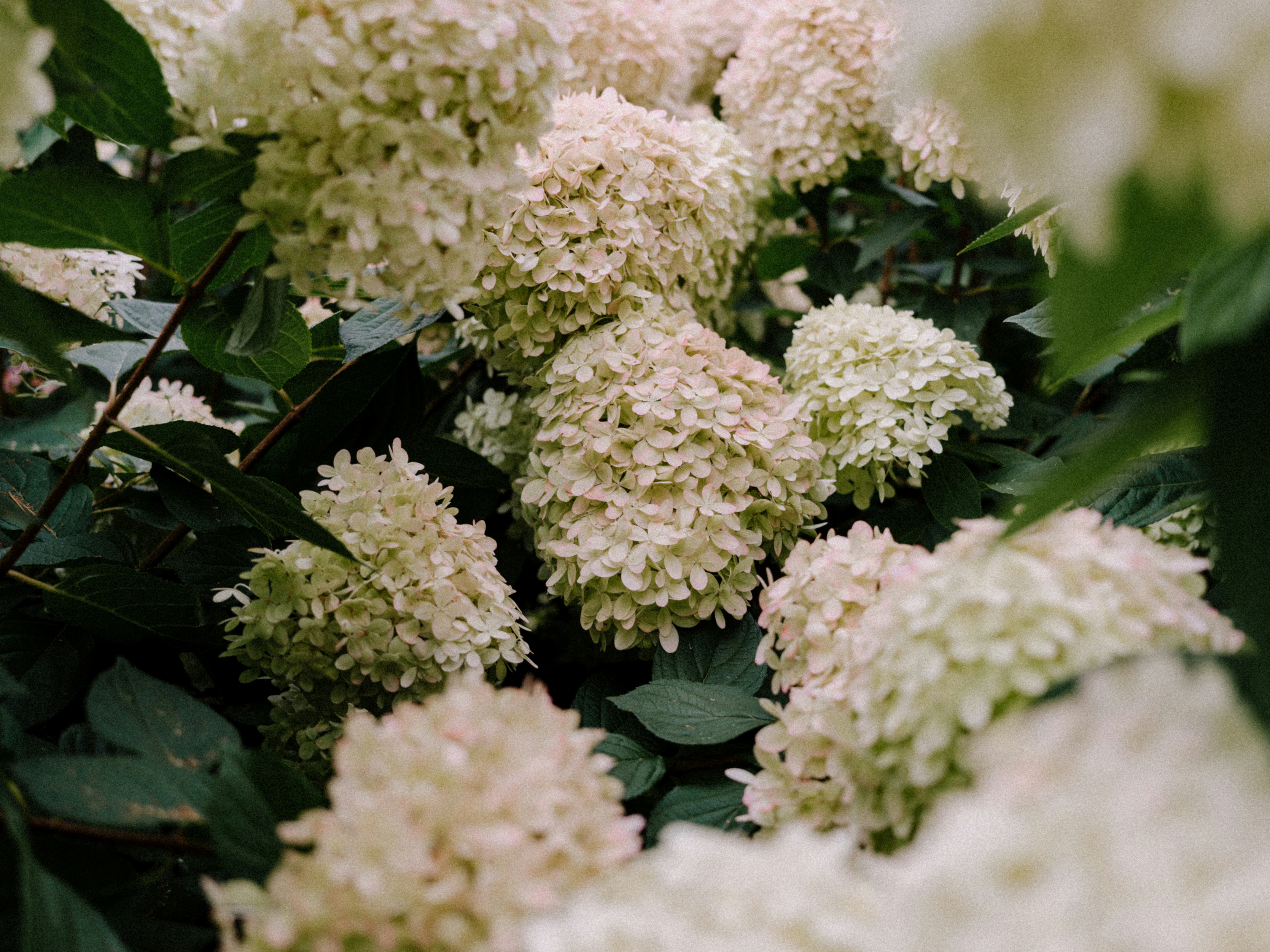 Photo by anniespratt