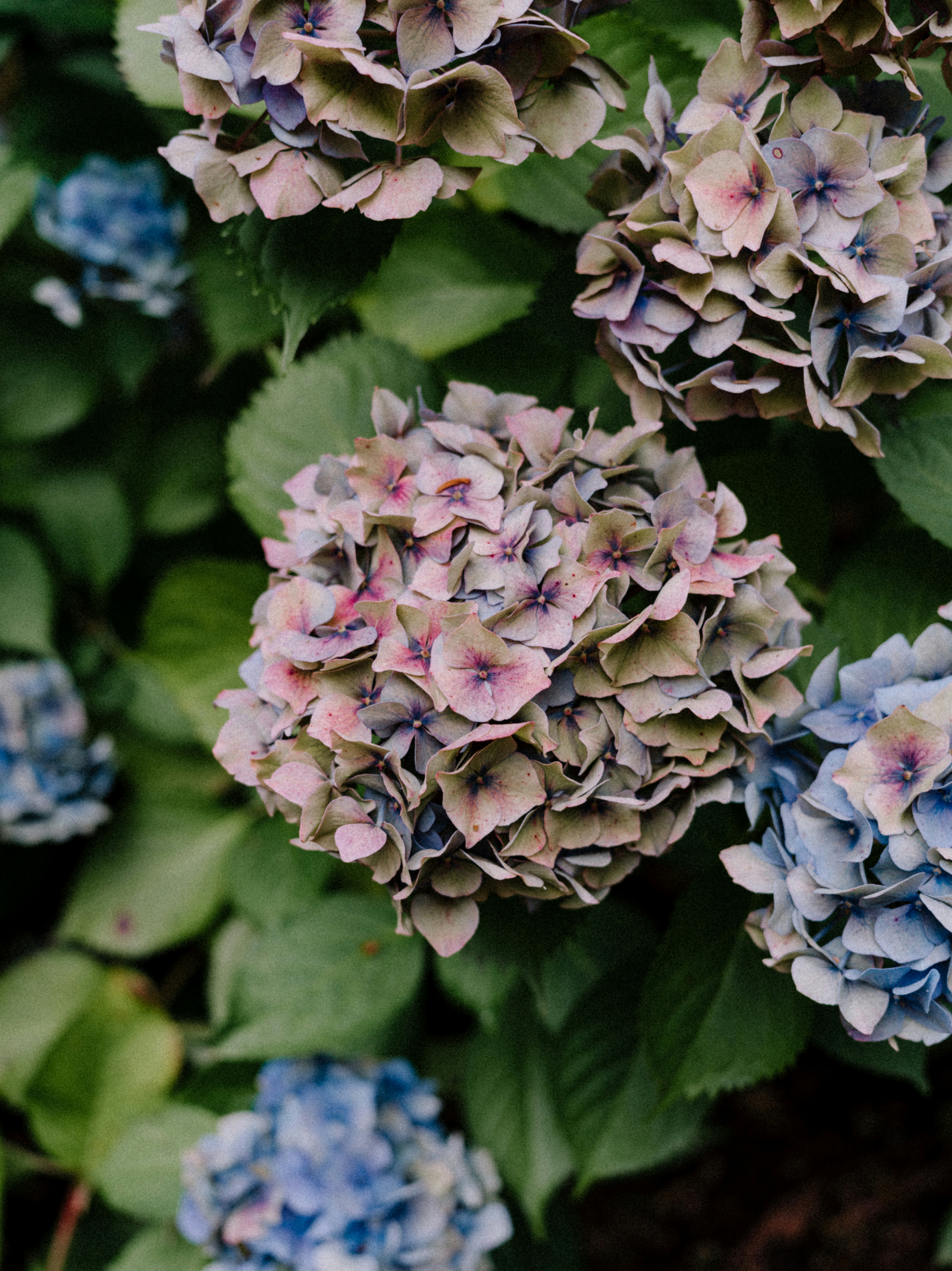 Photo by anniespratt