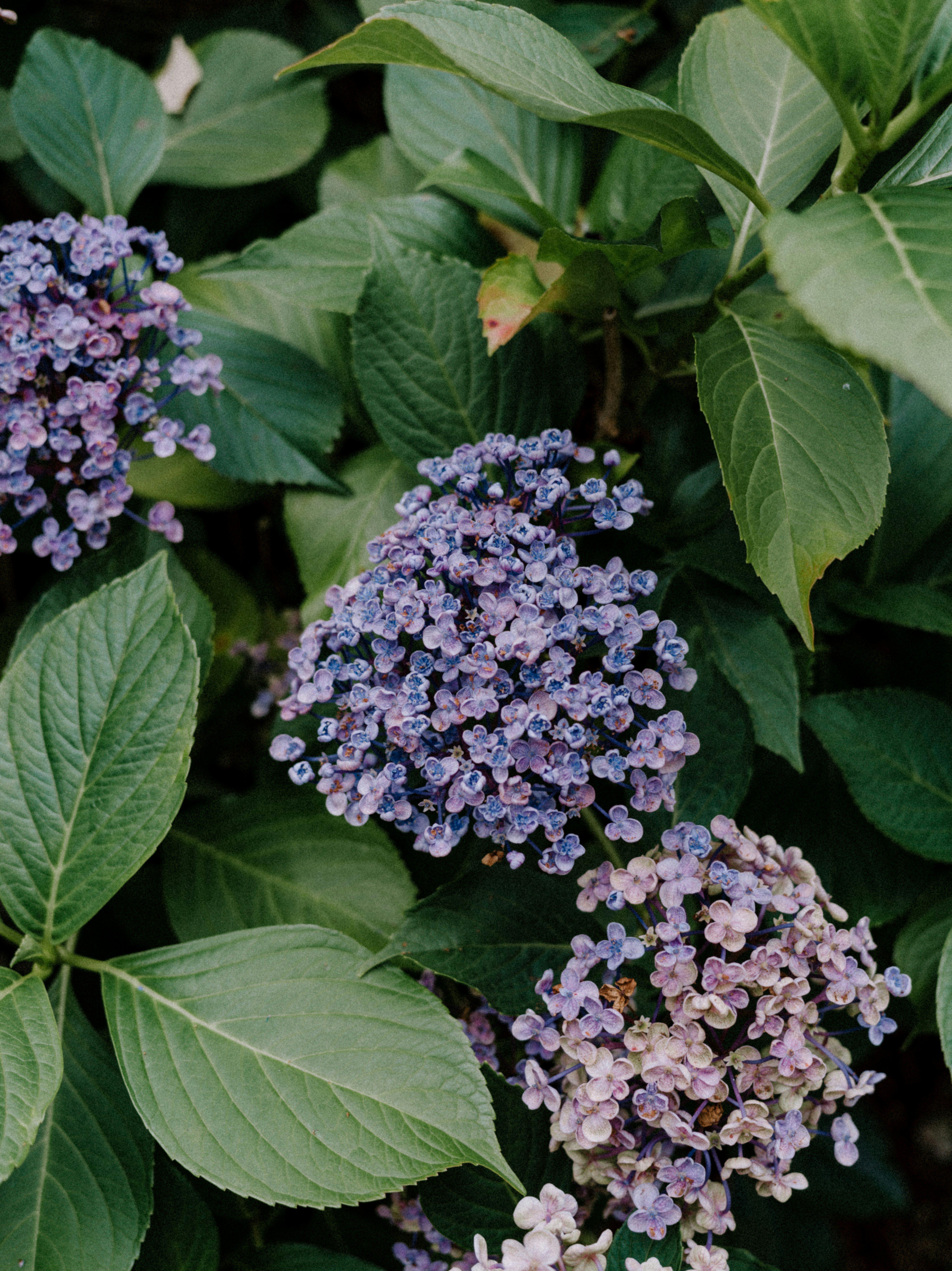 Photo by anniespratt