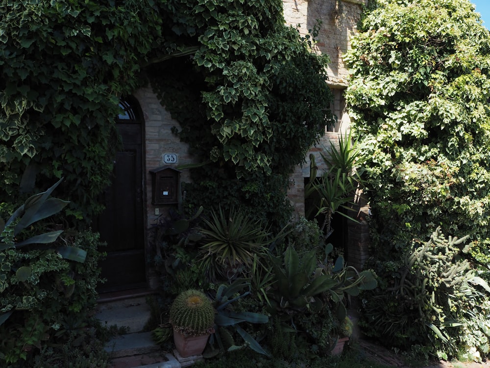 a house covered in green plants next to a tree