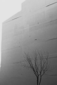 Lone Sentinel