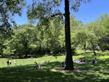 Photo of a clean park with families enjoying outdoor activities.