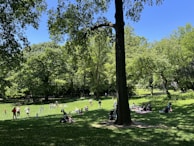 Families enjoying the spacious park with children playing near the soccer field.