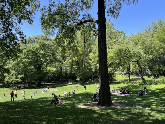 A lush, green park with numerous people engaged in various activities. Children are playing, some with soccer goals, while adults are sitting on blankets and strollers are scattered around. The grassy area is surrounded by dense trees under a clear blue sky.