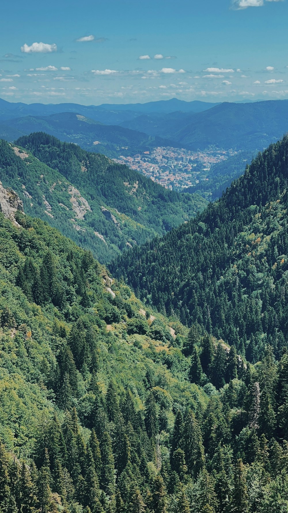 a view of a valley with a mountain in the background