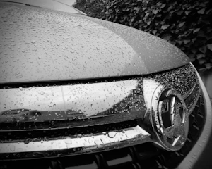 Close-up of a gleaming car hood after a fresh wash under natural sunlight.