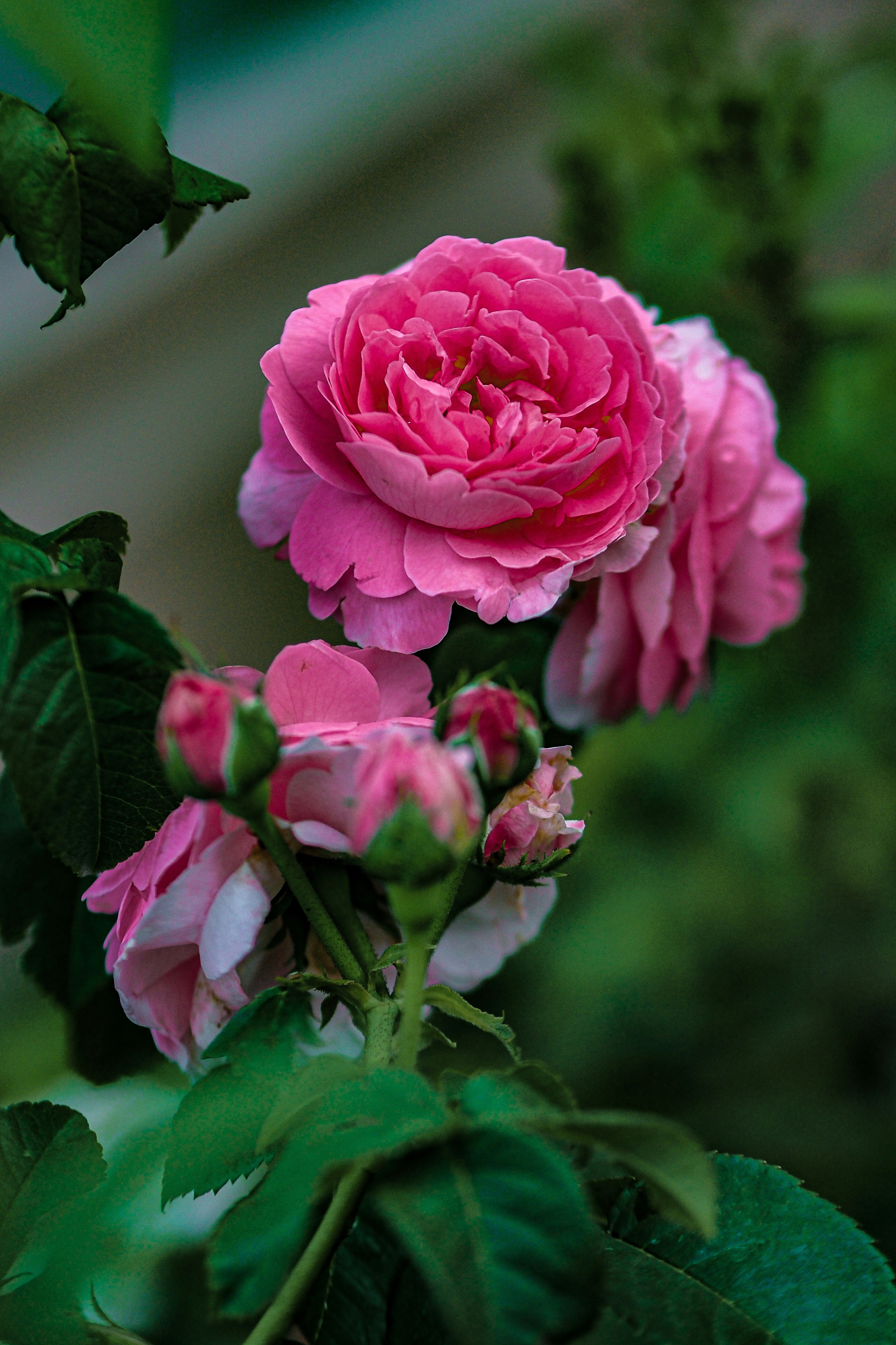 Photo by trofimova_photographer