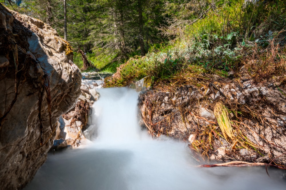 a stream of water running through a forest