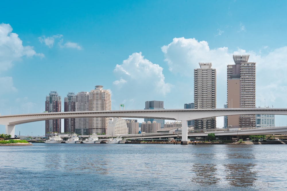 a bridge over a body of water with a city in the background