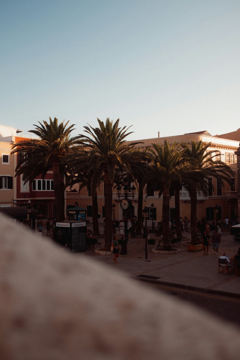 a group of palm trees in front of a building