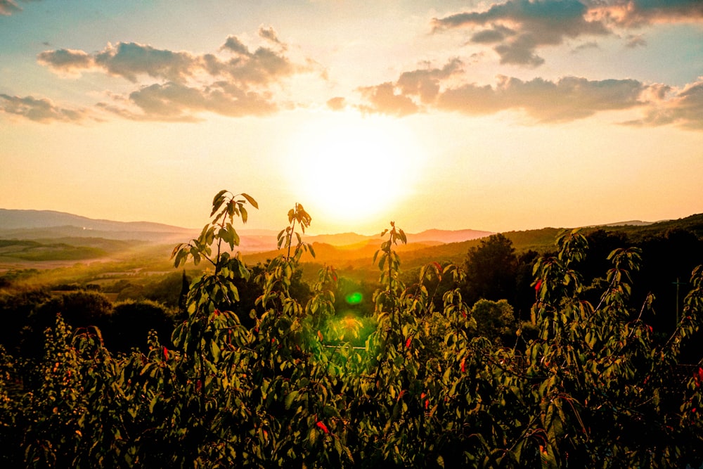 the sun is setting over a mountain range